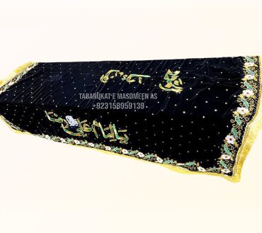 Taboot Cover Ya Imam Ali Raza as