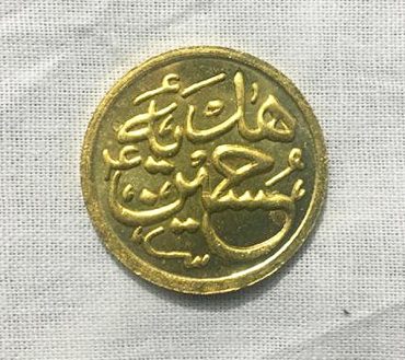 Barkati Coins Hadia Hussain AS