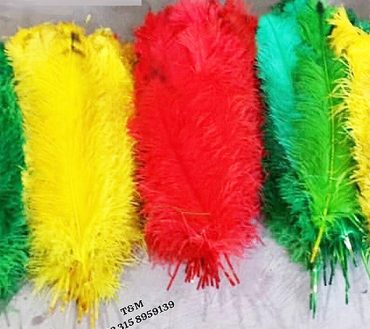 Multicolor Wings