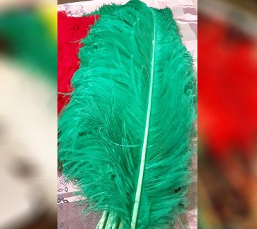 Green Shirtar Murgh Wing