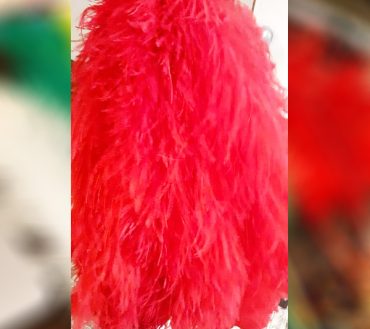 Red Shirtar Murgh Wing