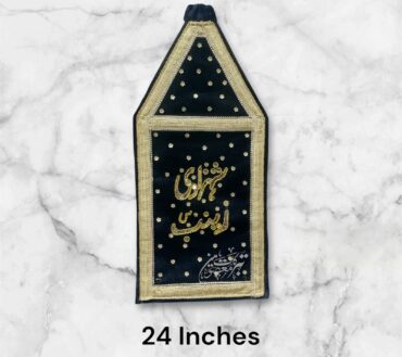 Beautiful Azakhana Alam Shahzadi Zainab SA