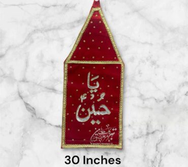Beautiful Azakhana Alam Abbas AS