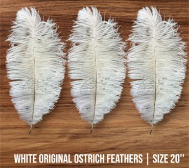 Orignal Ostrich Feathers | Color White1Pcs 