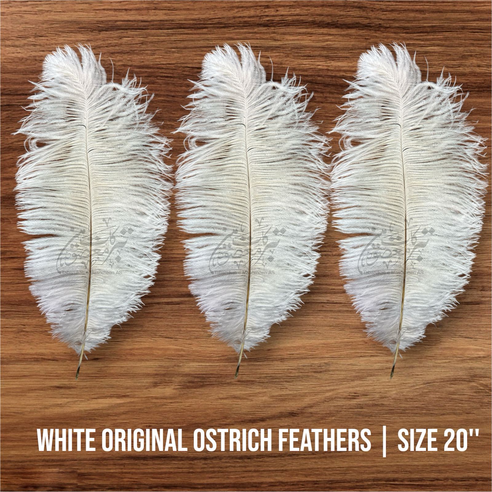 Orignal Ostrich Feathers | Color White1Pcs
