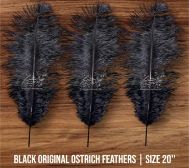 Orignal Ostrich Feathers | Color Black 1Pcs 