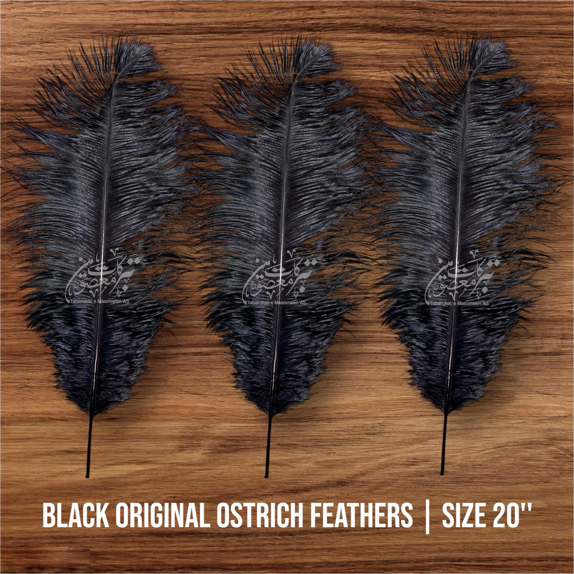Orignal Ostrich Feathers | Color Black 1Pcs