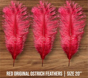 Orignal Ostrich Feathers | Colour Red
