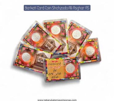 Barkati Ziyarat Card Coin Shahzada Ali Asgher AS