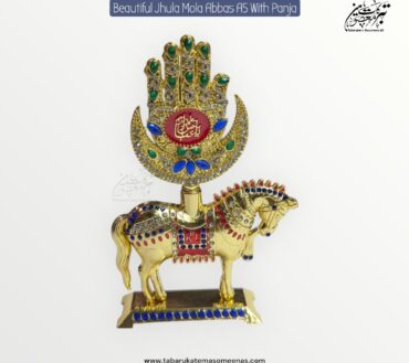 Beautiful Zuljana With Panja | Made In Karbala